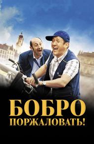 Бобро поржаловать! (2008)